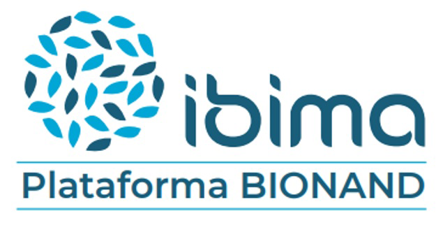 IBIMA Logo